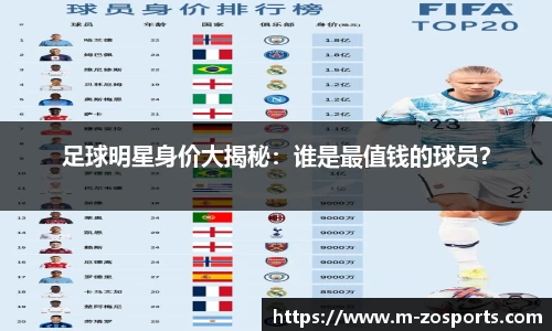 中欧体育官方网站