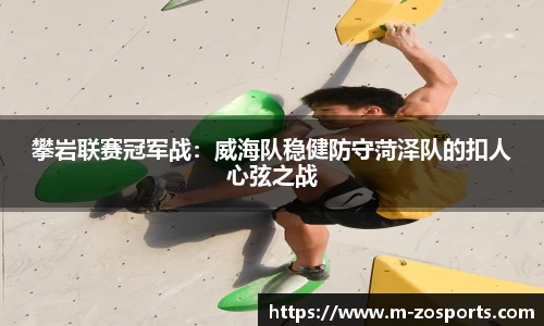 中欧体育